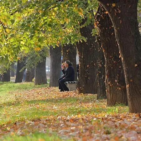 Riverside Near Centre, Balcony And Free Parking