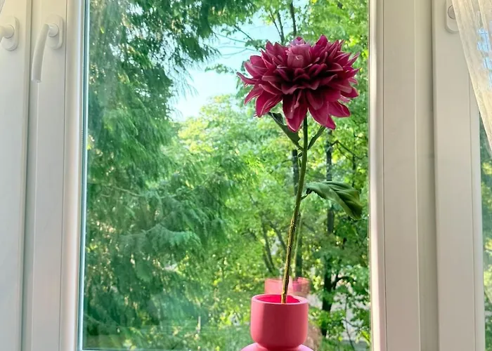 公寓 Riverside Near Centre, Balcony And Free Parking 塞拉耶佛